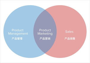 帮助创业公司跨越鸿沟的 5 个产品营销方法